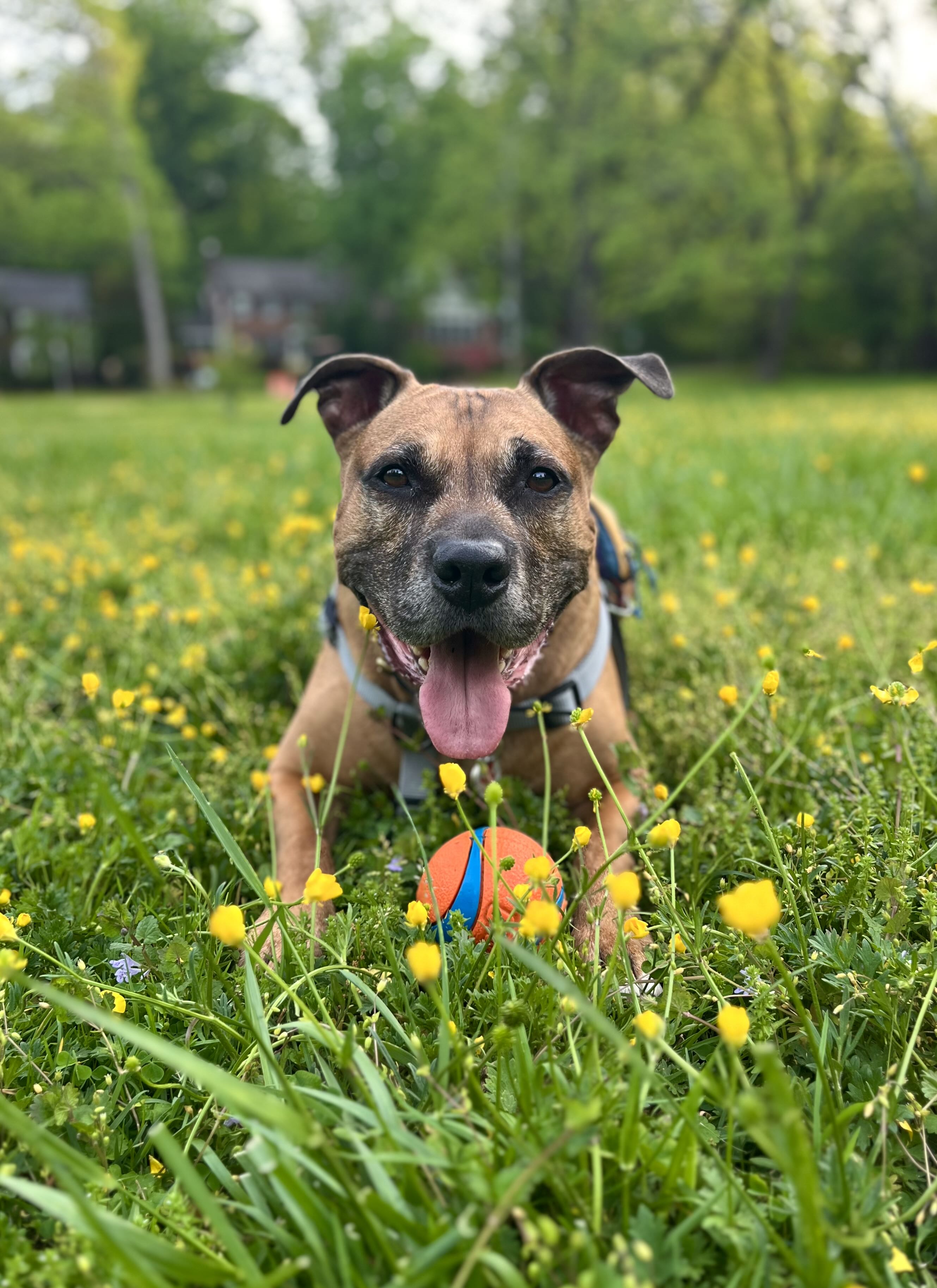 coachmark on One Bite Pizza App