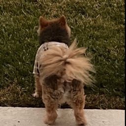 camden.tait on One Bite Pizza App