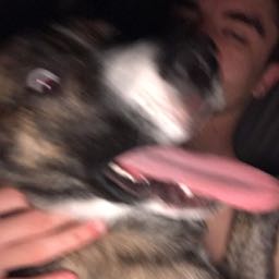 trenton1221 on One Bite Pizza App