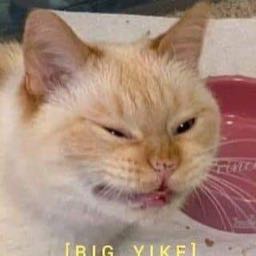 smitherton on One Bite Pizza App