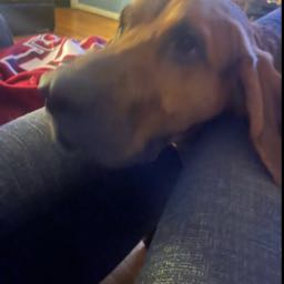 jack.vanasse on One Bite Pizza App