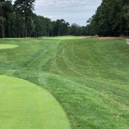 greg.elk on One Bite Pizza App