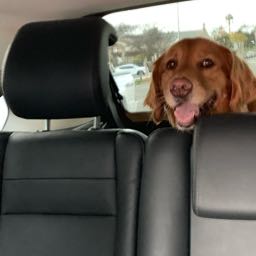 demir.asik on One Bite Pizza App