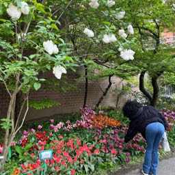 chantal.ramirez on One Bite Pizza App